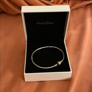 Pandora charm bracelet